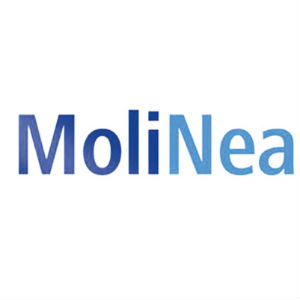 MOLINEA MOLINEA