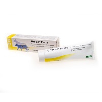 UROCID pasta 100 g