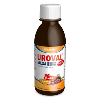 UROVAL Megabrusinka FORTE sirup 200 ml (Močové cesty) - Přírodní, Vícesložkové