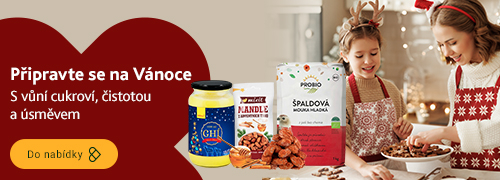 Vánoční přípravy