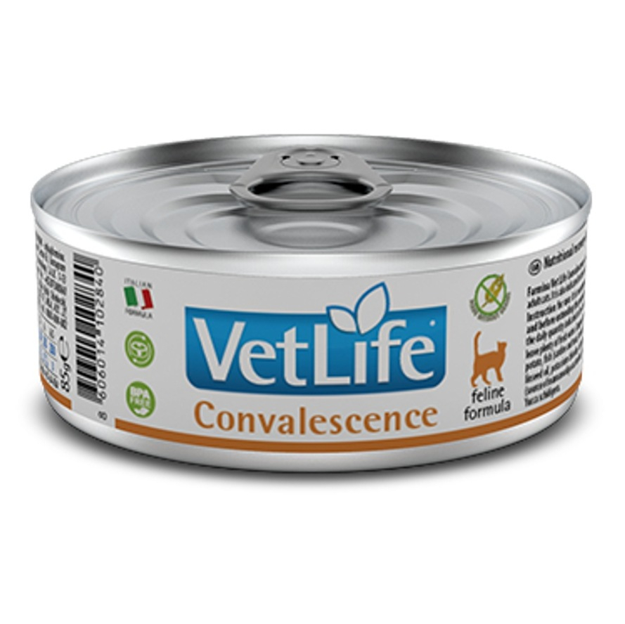 E-shop VET LIFE Natural Convalescence konzerva pro kočky 85 g