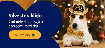 Silvestr v klidu