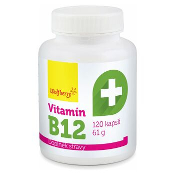 WOLFBERRY Vitamín B12 120 kapslí