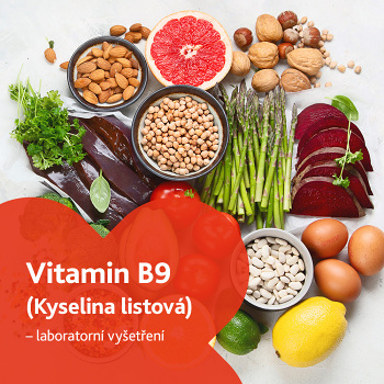Vitamin B9 (kyselina listová) - laboratorní vyšetření (Stanovení hladiny vitamínů a minerálů)