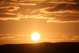Vitamín D Vitamín D