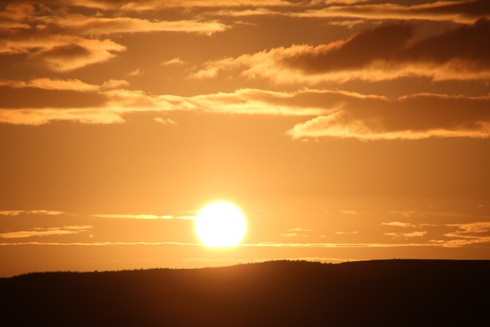 Vitamín D Vitamín D