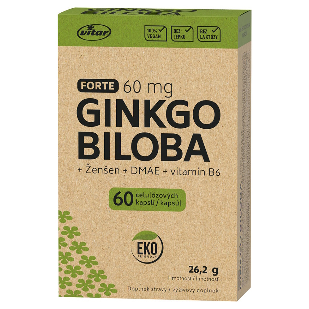 Levně VITAR EKO Ginkgo biloba 60 mg + DMAE + vitamn B6 60 kapslí
