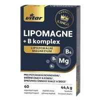 VITAR Kings Lipomagne + B komplex 60 kapslí
