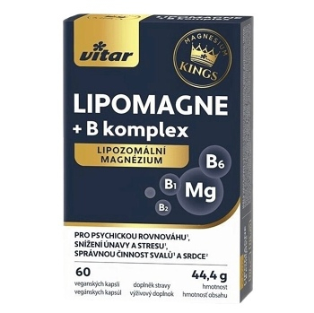 VITAR Kings Lipomagne + B komplex 60 kapslí (Na energii, při únavě) - Vícesložkové