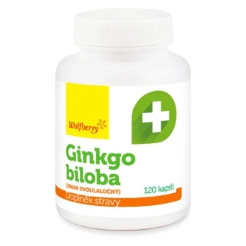 WOLFBERRY Ginkgo biloba 120 kapslí (Doplňky stravy na paměť) - Jednosložkové