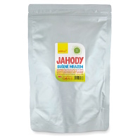 WOLFBERRY Jahody sušené mrazem 100 g